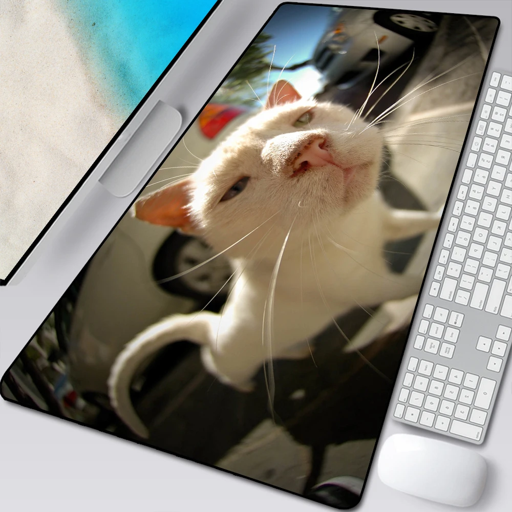 

XXL Beautiful Cute Printing Mouse Pad Desk Pad Anime Pad Computer Player Gaming Gamer Mouse Pad PC Keyboard Mats For Cat