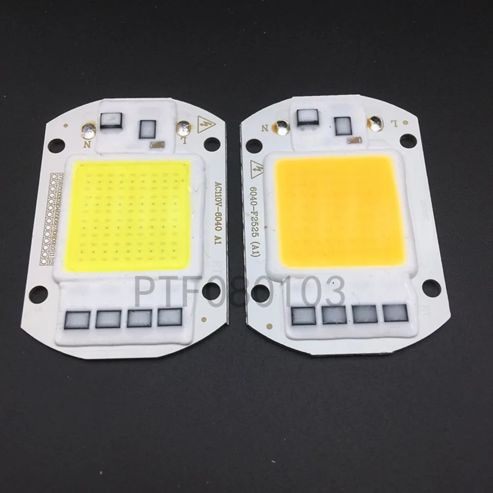 10 pcs LED COB Lamp Chip 50 W Chip 110 V 220 V Input Smart IC Fit Voor DIY LED overstroming Licht Koud Wit Warm Wit Straat Lam