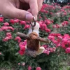 Изображение товара 1