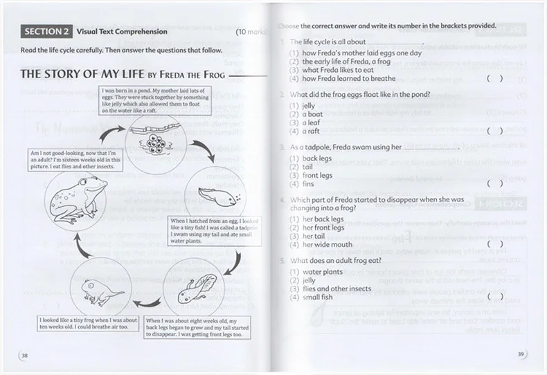 

6Pcs Original English books Scholastic Complete Comprehension Practice Assessment Book for Kids