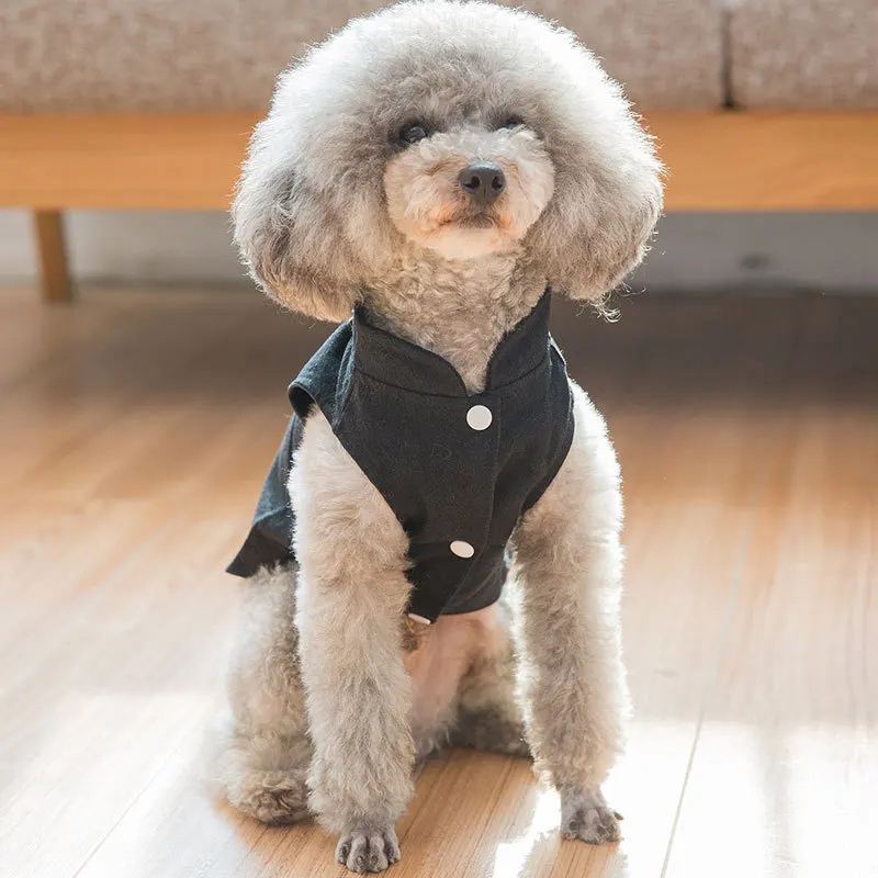 Одежда для домашних животных Сезон весна лето одежда собак жилет Teddy Bichon