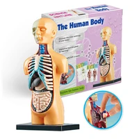 the human body organ educational toys stem skeleton bones montessori diy model torso anatomy internal medical teach for student