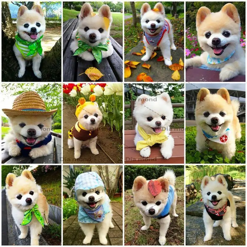 

Diamond Painting Dog Cross Stitch Kit Bow Tie Diamond Mosaic Animals Diamond Embroidery DIY Handmade Gift Home Decoration