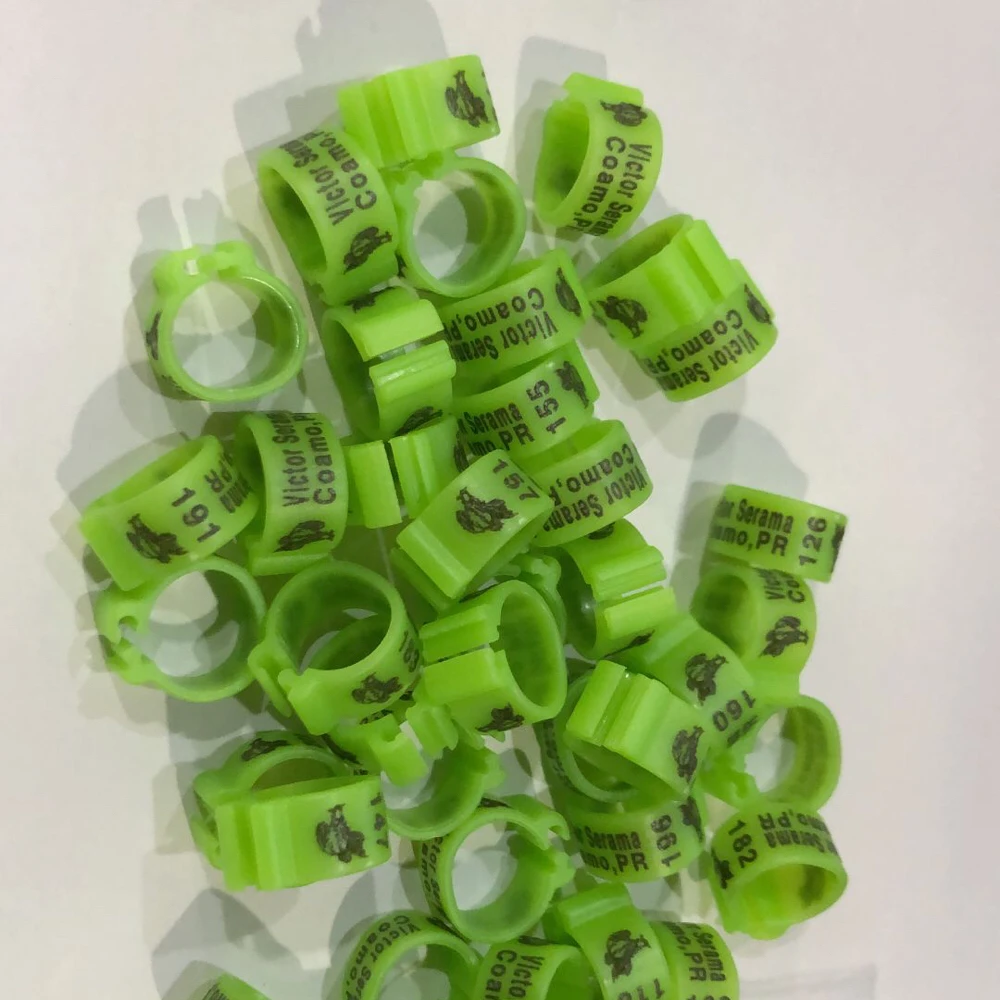 200 шт./лот Бесплатная доставка кольца для ног голубей 2021 кольцо с именем | Дом и сад