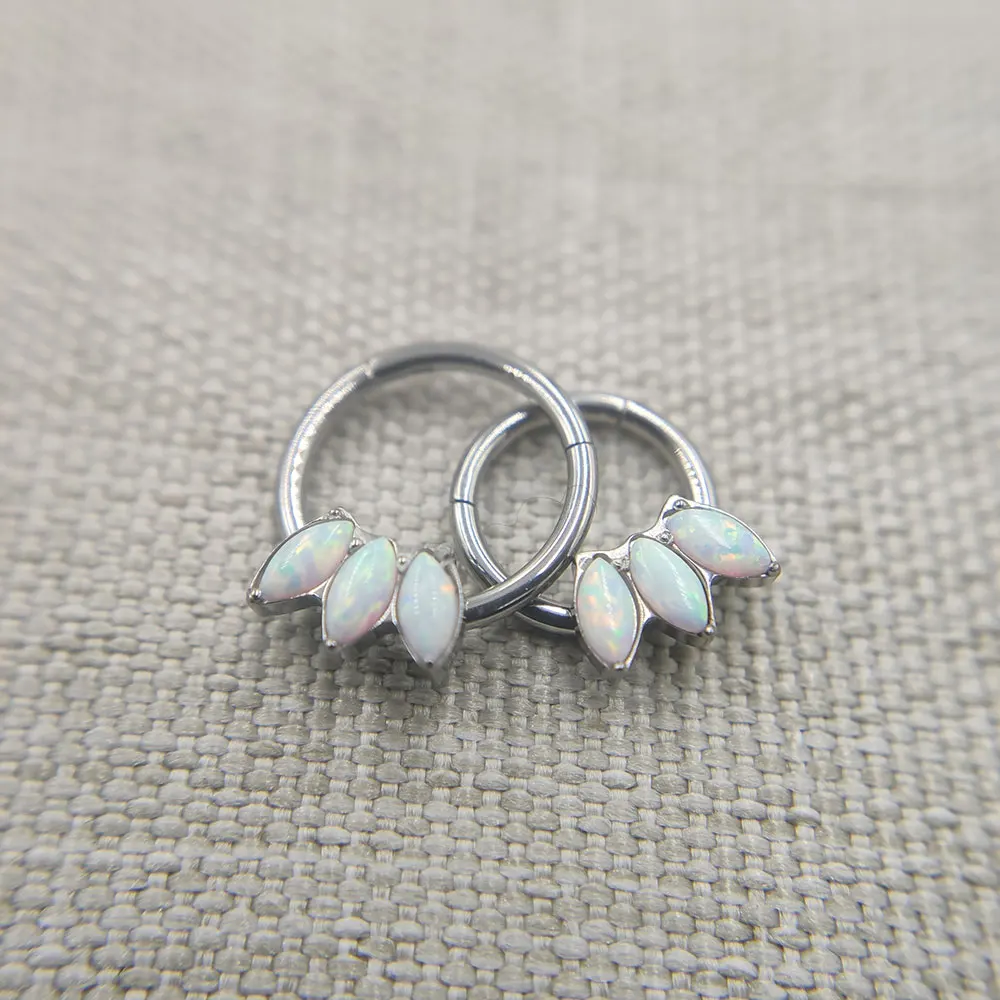 Титановое кольцо обруч для перегородки носа имплантата 16 г|Украшения тела| |