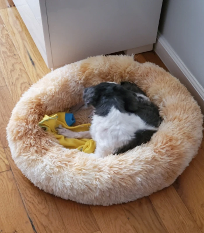 Круглая кровать для домашних собак Питомник кошек теплый диван корзина больших