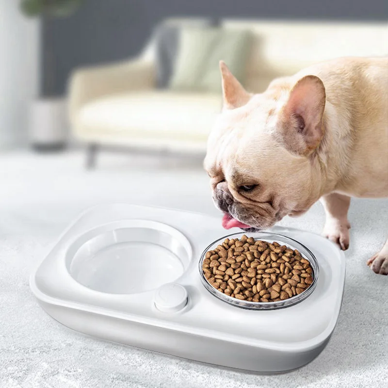

New Pet Bowls Feeder Popular Cat Dog Pet Automatic Water Ceramic Feeding Drinking Bowls Combination Plastic Dishes
