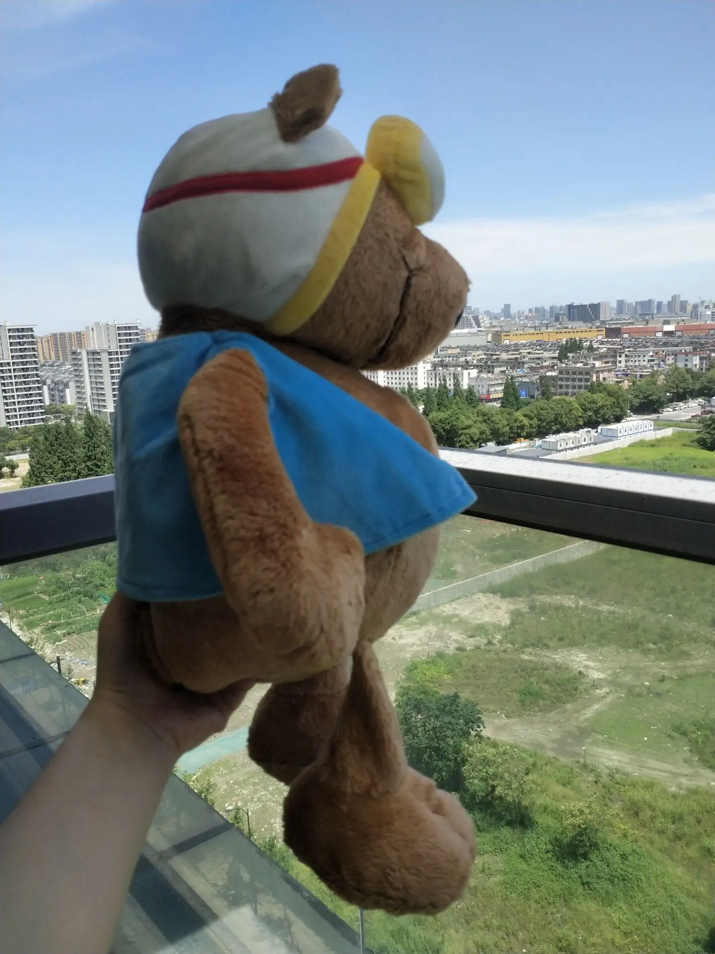 1 шт. мягкая плюшевая игрушка с капюшоном бабушка овечка Коза | Игрушки и хобби
