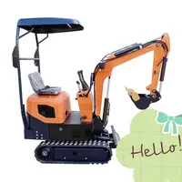 CE EPA Approved New Design 1ton Hydraulic Crawler Excavator For Sale