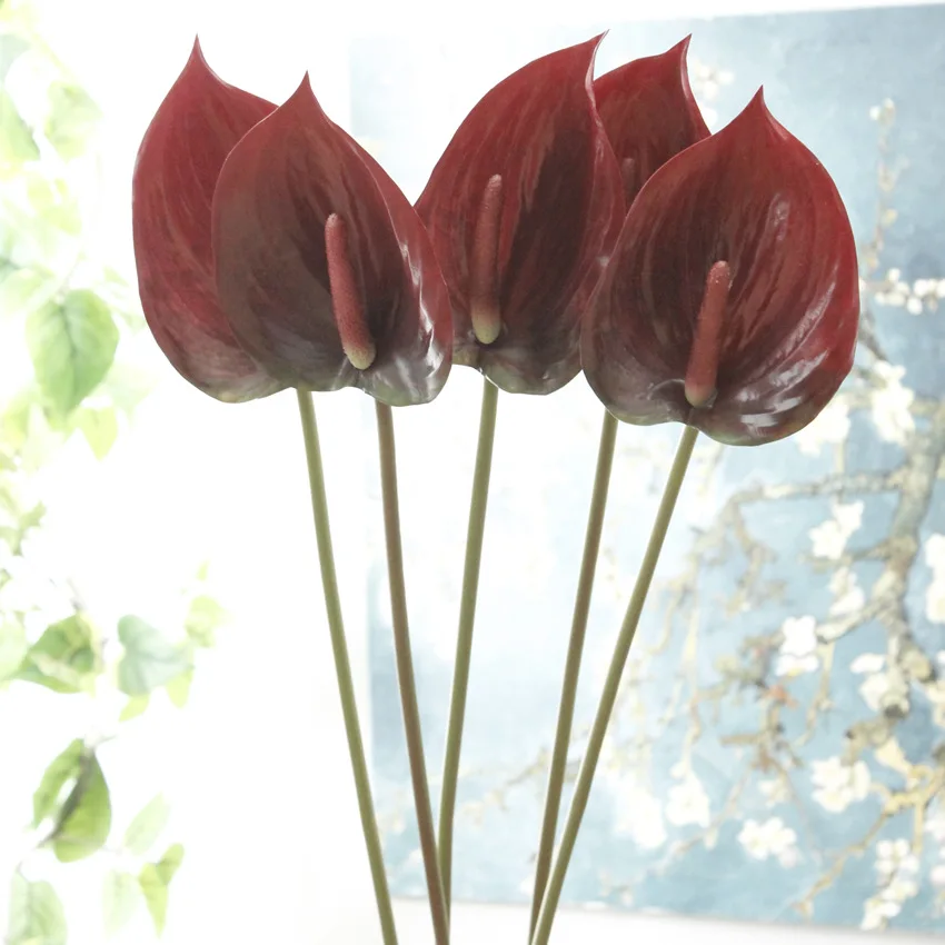 Высокое качество антуриевые цветы комнатные балконные растения офисные