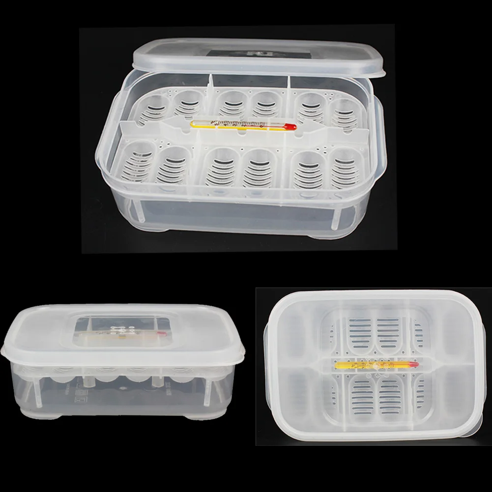 Holes Reptile Egg Incubation Tray Gecko Lizard Snake Eggs Tool Insect keeping box Drop Shipping | Дом и сад
