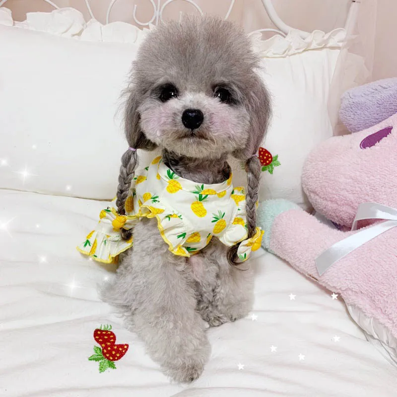 Летнее платье для кошек костюм маленьких и средних собак одежда чихуахуа