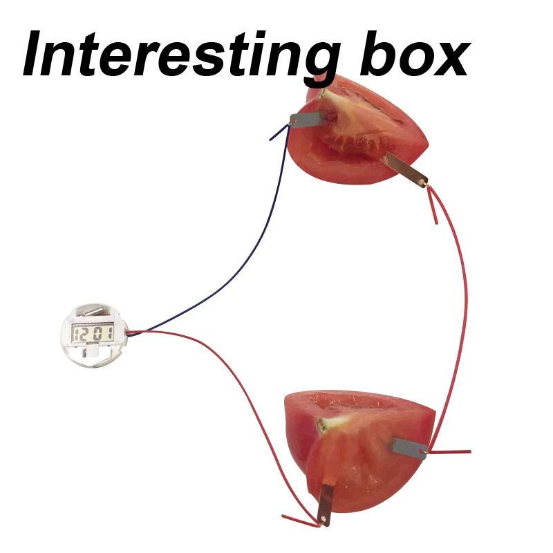 Фрукты батарея эксперимент материал посылка картофельные электроэнергии Наука
