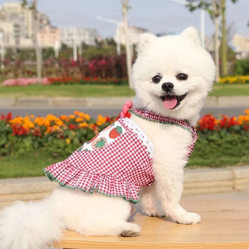 

Cat Dog Dress Summer Pet Clothes Dropshipping Wholesale Pet Products Yorkshire Pomeranian Puppy Poodle Schnauzer Bichon Clothing