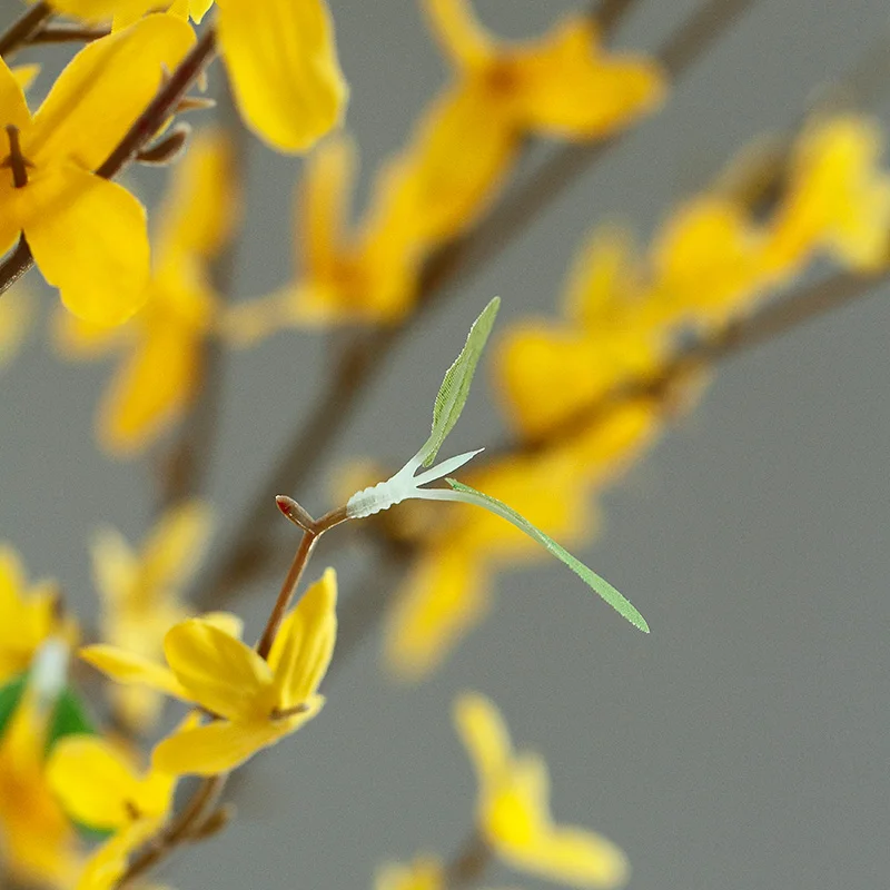 Химонант праэкокс тапочки отличного качества Декорированная цветами искусства