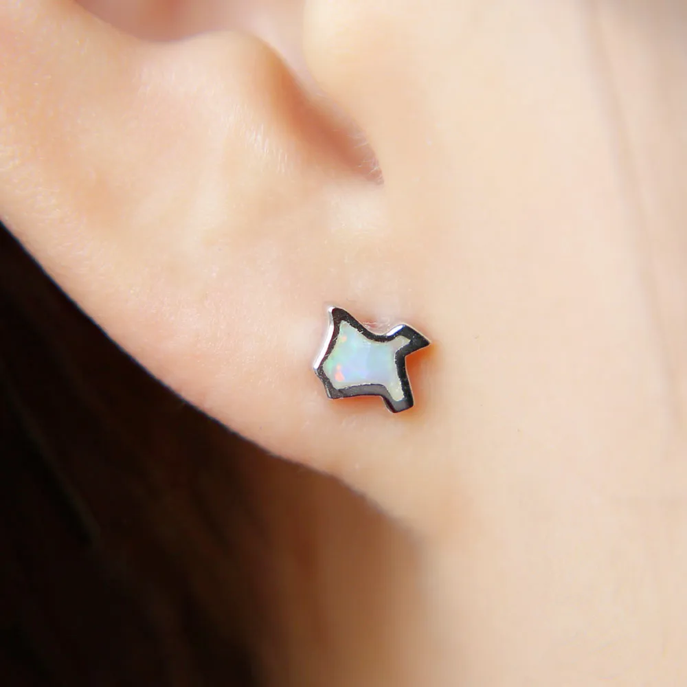 Серьги-гвоздики в виде карты Техаса серебро 100% пробы | Украшения и аксессуары