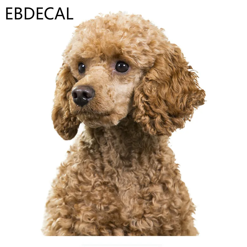 Милые наклейки с плюшевой собакой для Авто/бампера/окна/настенные DIY Декор CT7035 |