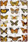 Забавная Бабочка Искусство металлический жестяной знак украшение на стену Ретро насекомое бабочка Daquan музейный подарок плакат