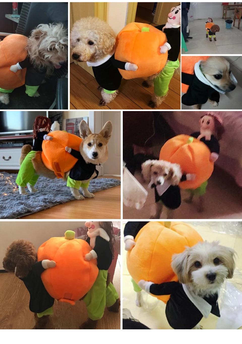 HEYPET Pet Хэллоуин Одежда для косплея смешная Тыква Одежда для собак костюм комбинезоны для маленьких средних собак для Мопсов, французских бульдогов
