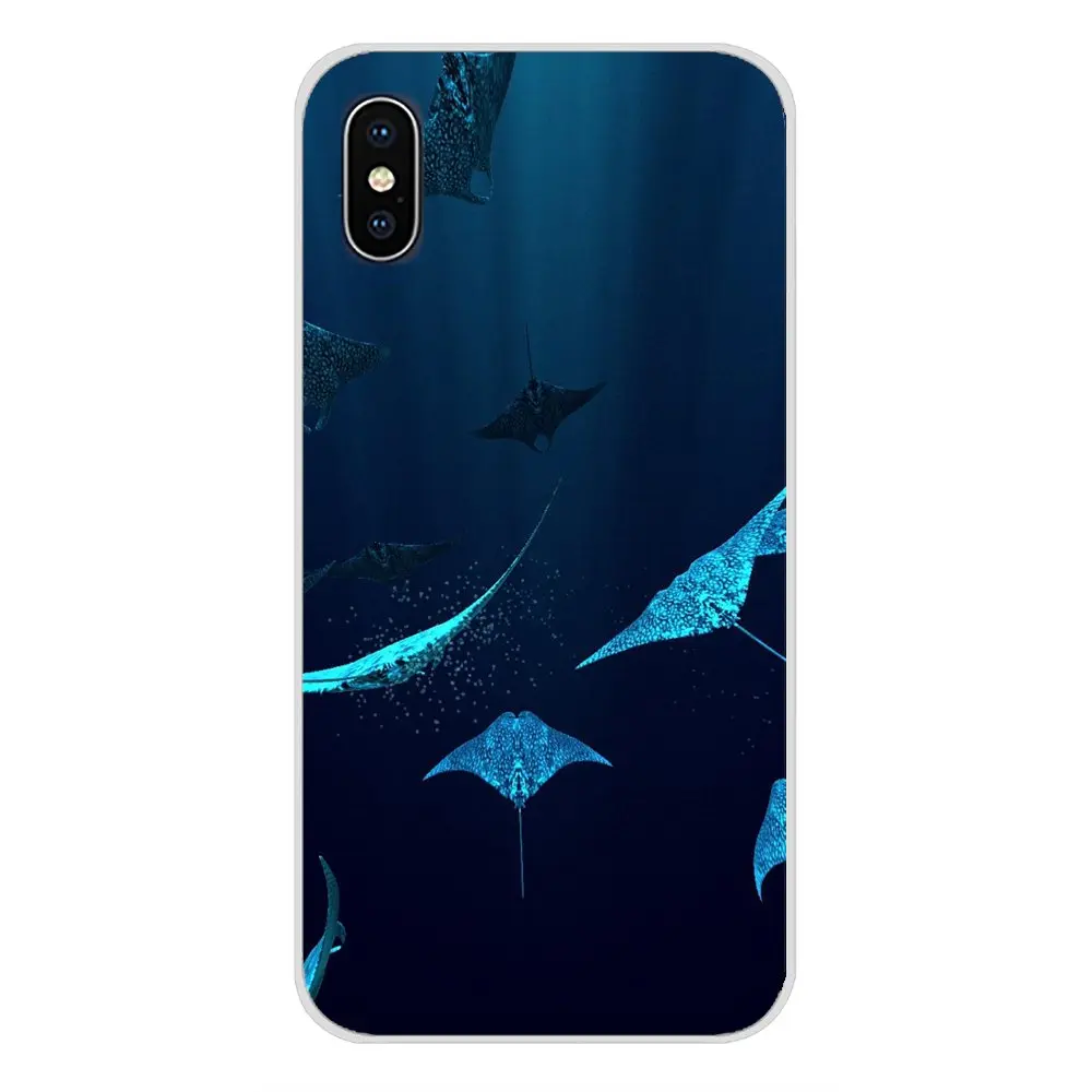 Аксессуары для телефонов Animal manta ray чехлы Samsung A10 A30 A40 A50 A60 A70 M30 Galaxy Note 2 3 4 5 8 9 10