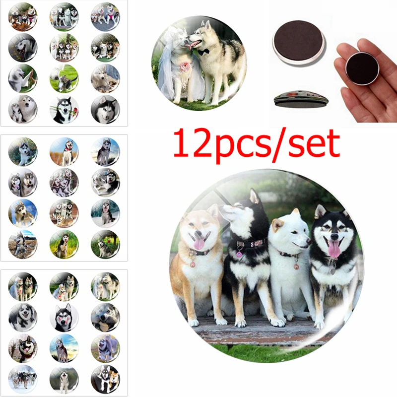 

12pcs Siberian Husky Fridge Magnet set Cute Dog Jewelry Message Board Sticker Glass Dome Dog Couple Animal Lovers Gift HomeDecor