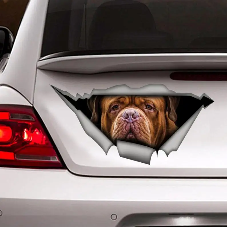 

Bordeaux car Decal, Pet decal , Dog Decal, Bordeaux sticker, funny decal, Laptop Decal, 3D sticker