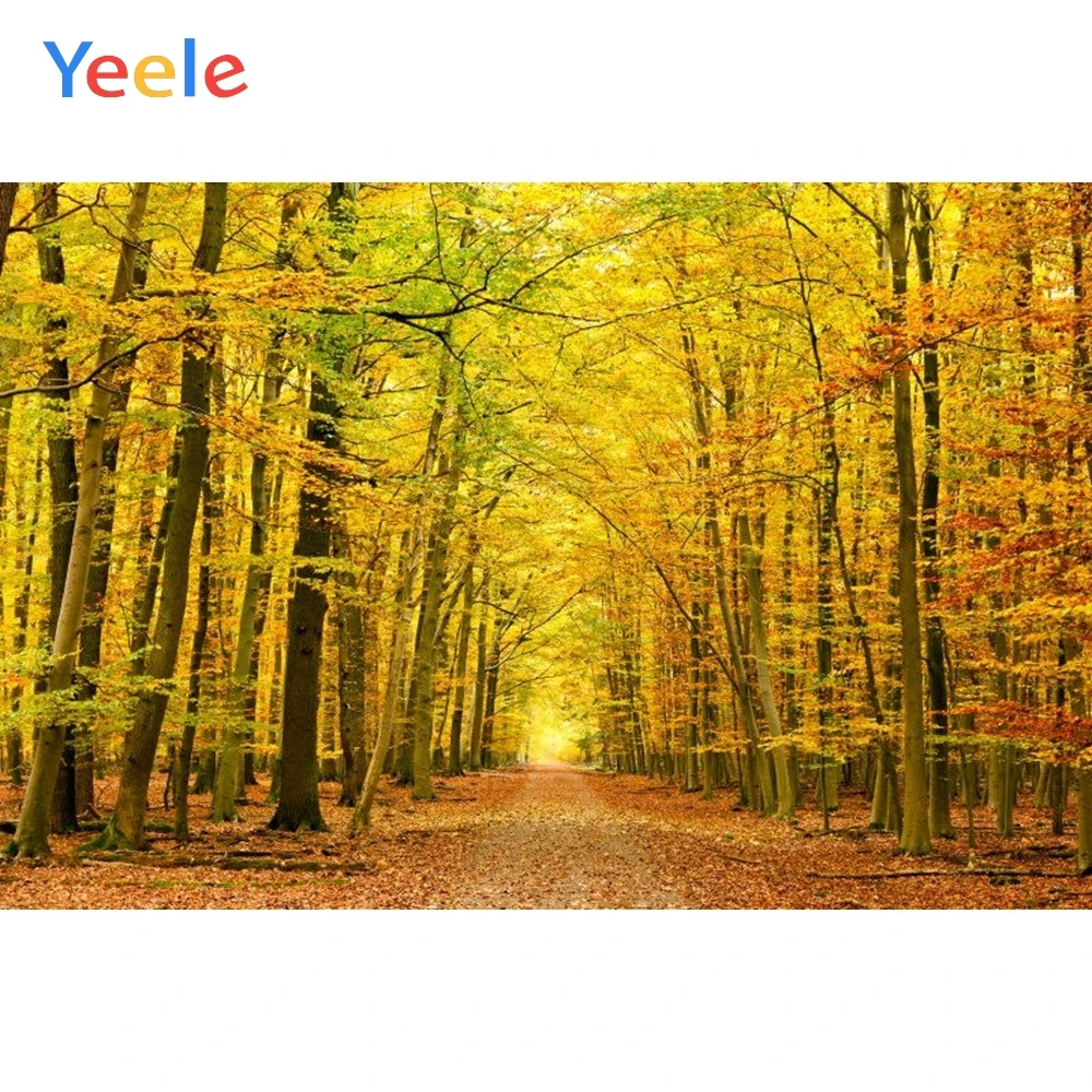 

Виниловый фон для фотосъемки новорожденных с изображением осеннего леса листьев дня рождения