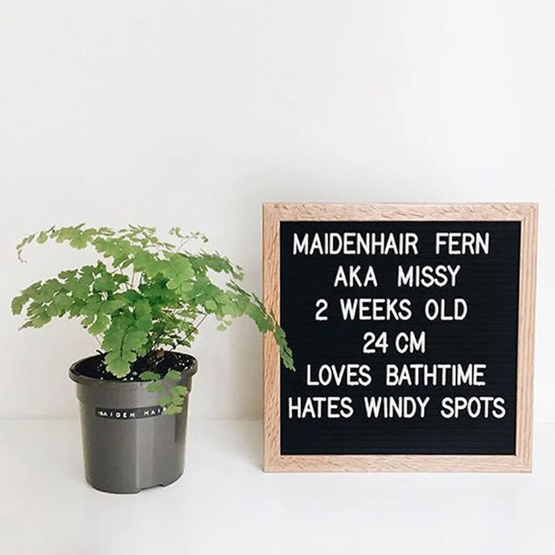 

Handwork DIY Felt Letter Board Wooden Frame Changeable Symbols Numbers Characters Message Boards for Home Office Shop Kids Gifts