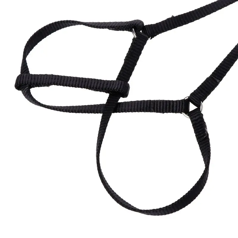 Поводок для питомцев поводок маленьких попугаев птиц регулируемый ремень