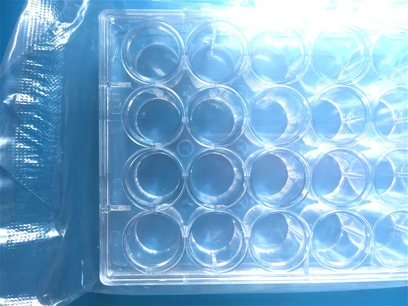 Одноразовая пластина для клеточных культур 24 лунки с крышкой пластинчатые