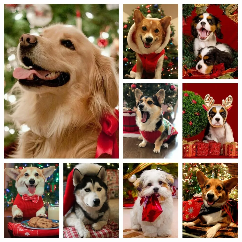 

MomoArt алмазная живопись, полный квадратный зимний Кот, картина животного, 5D стразы, мозаика, Настенный декор