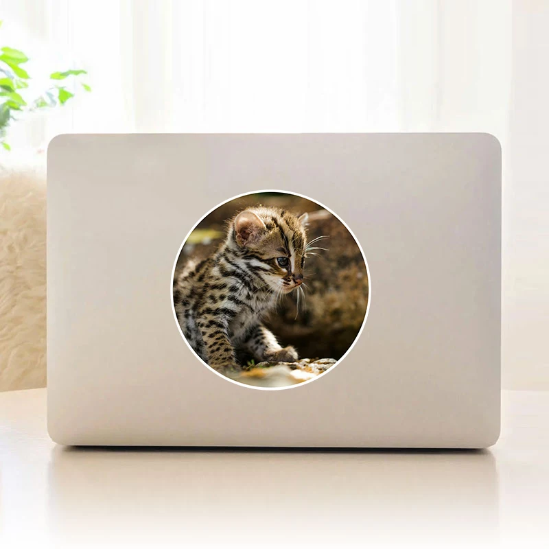 

Детская леопардовая кошка котенок виниловая наклейка для ноутбука/автомобилей/стены/планшета/окна/двери/телефона, наклейка для ноутбука s #...