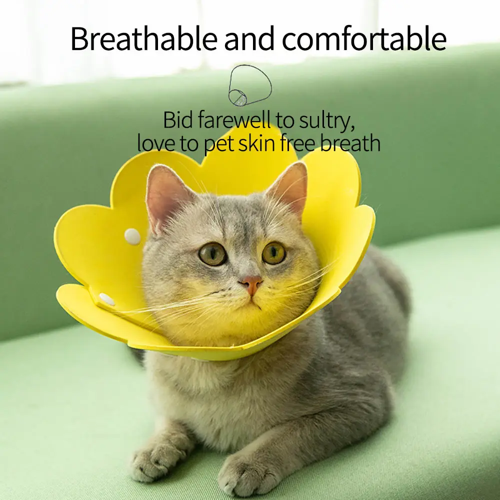 2/5/10 шт Pet Элизабет круг-воротник кошка заживления ран медицинская Анти Укус с