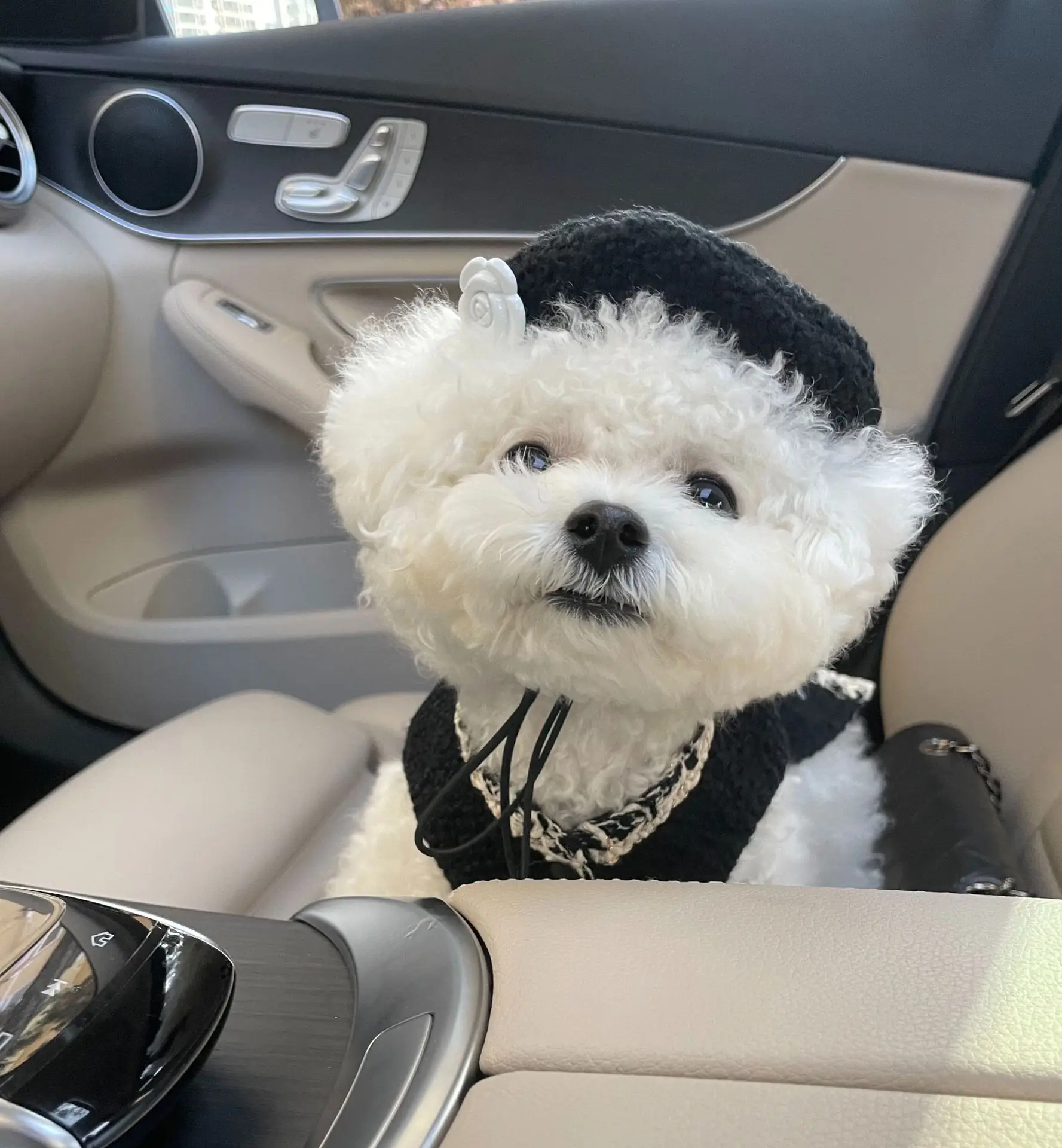 Одежда для домашних животных с мелким запахом