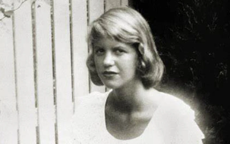 Сильвия плат биография стихов брошь эмалированный штифт я думаю что заставил