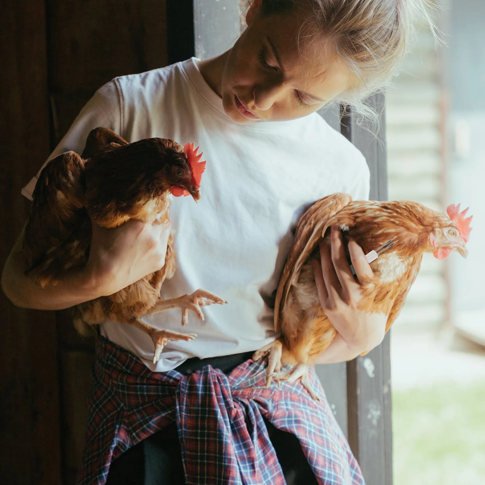 

6/12pcs Set Inoculation Needles Compact Fowl Pox Immunization Needles Inoculation Needles For Chicken