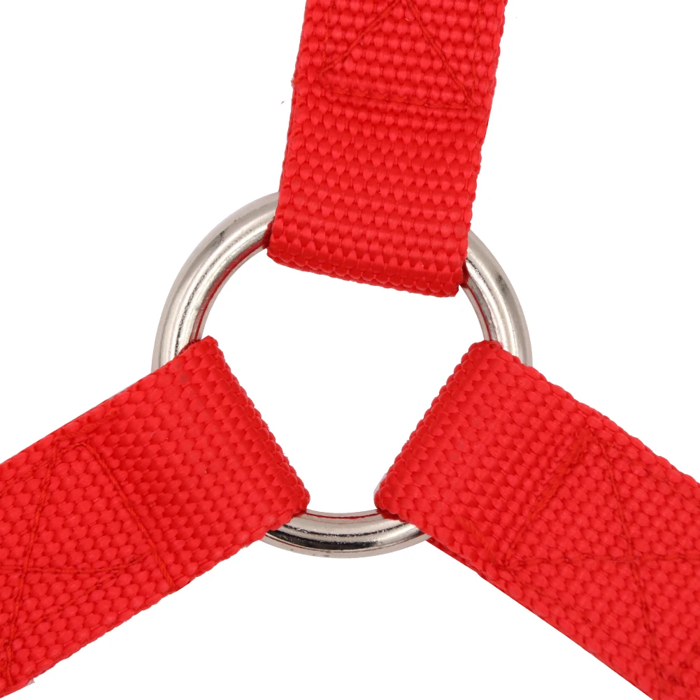 Мягкое оборудование для верховой езды ремень регулируемый с петлей головной