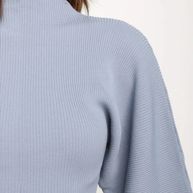 

Casual Women's Woolen Sweaters Solid Mock Neck Lantern Sleeves Women Knitted Pullover Sweater Office Lady Winter Clothing 2020