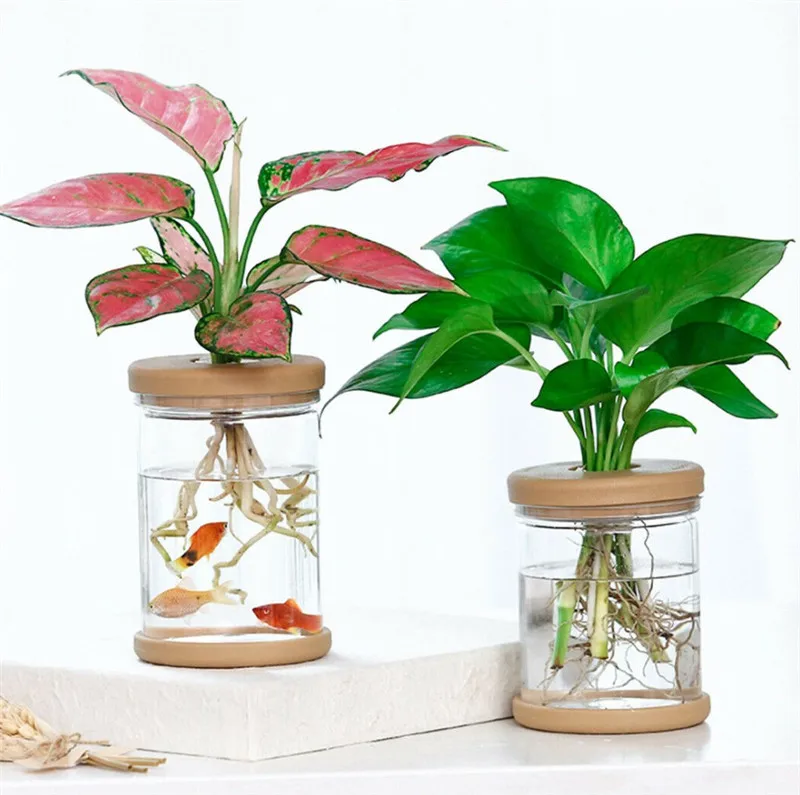 

2pcs Hydroponic Plant Vases Flower Pot Transparent Vase Tabletop Planter Decor Automatic Water Absorption Flowerpots