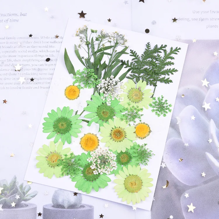 

Small Green Dried Flowers for UV Resin Jewelry Making Pressed Flowers Scrapbooking Dry Preserved Flower Decoration Bloemen DIY
