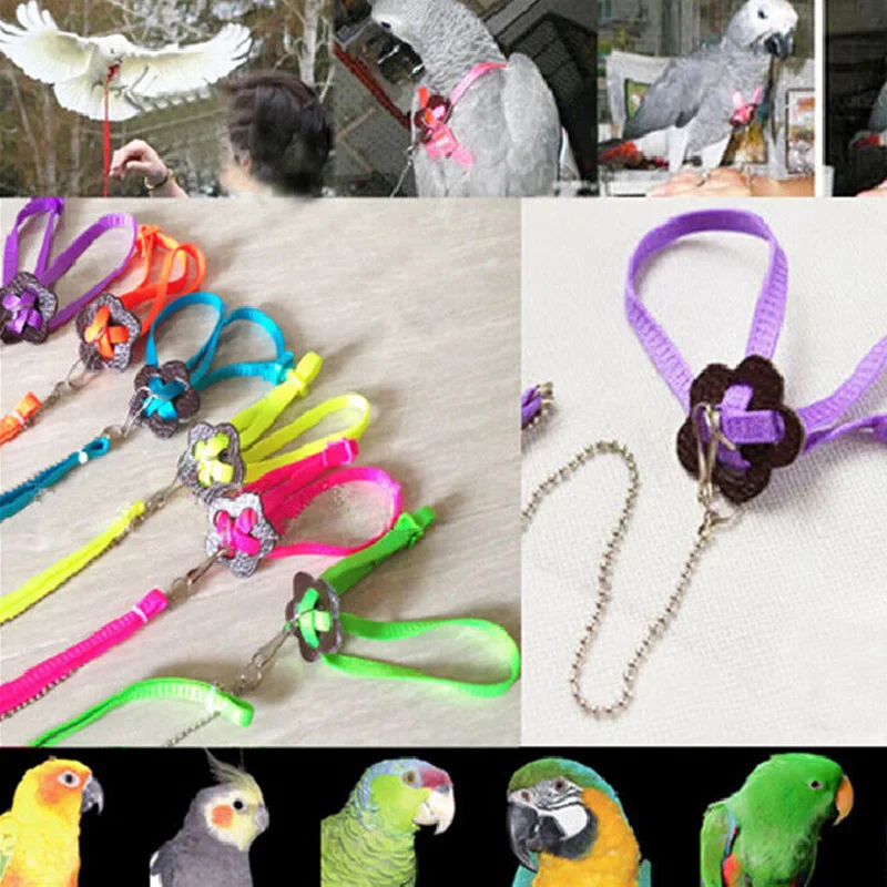 Fashion Parrot Bird Harness & Leash Adjustable Multicolor Light Soft