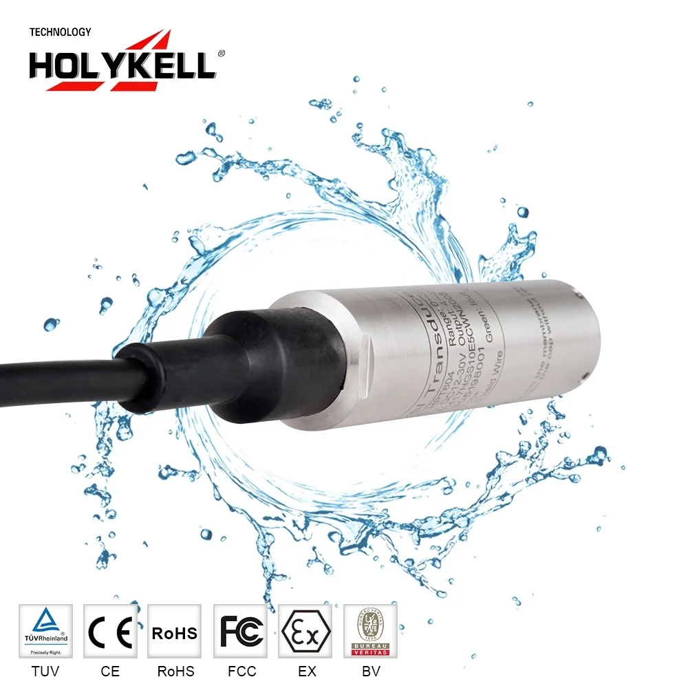 

Holykell HPT604 10M 4-20Ma Water Level Sensor for submersible pumps