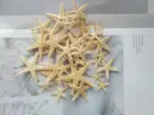 Лидер продаж, 1-5 см натуральные морские звезды из морских звезд, ремесло для пляжа, поделки сделай сам, Пляжное свадебное украшение, домашний декор, эпоксидная смола