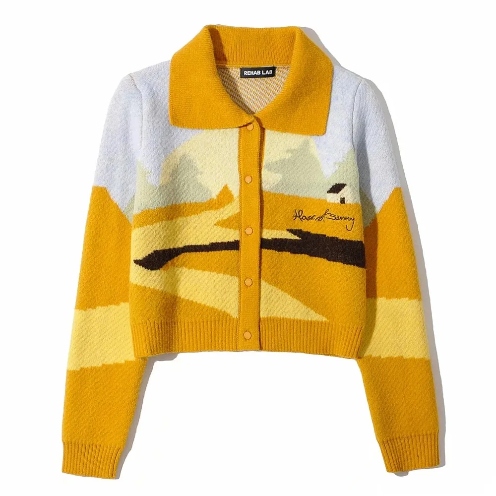 Вязаный однобортный Укороченный кардиган в стиле Харадзюку С Вышивкой Букв