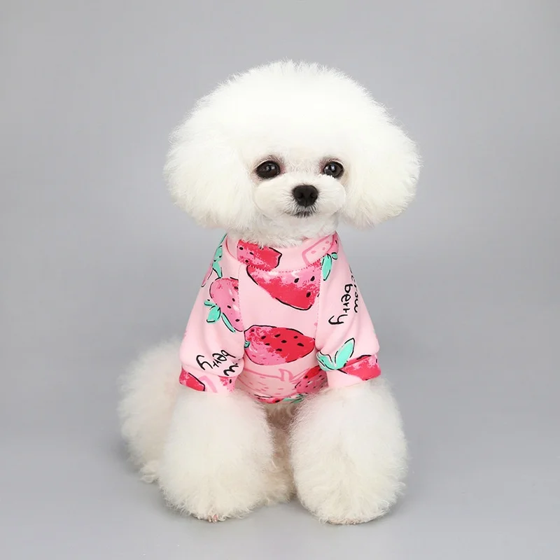 

Two Leg Wool Sweater With Design For Pets/Autumn/Winter Dog Or Cat