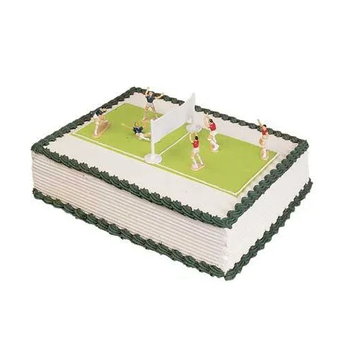 Волейбольный тематический торт террариум|Декор места обитания| |