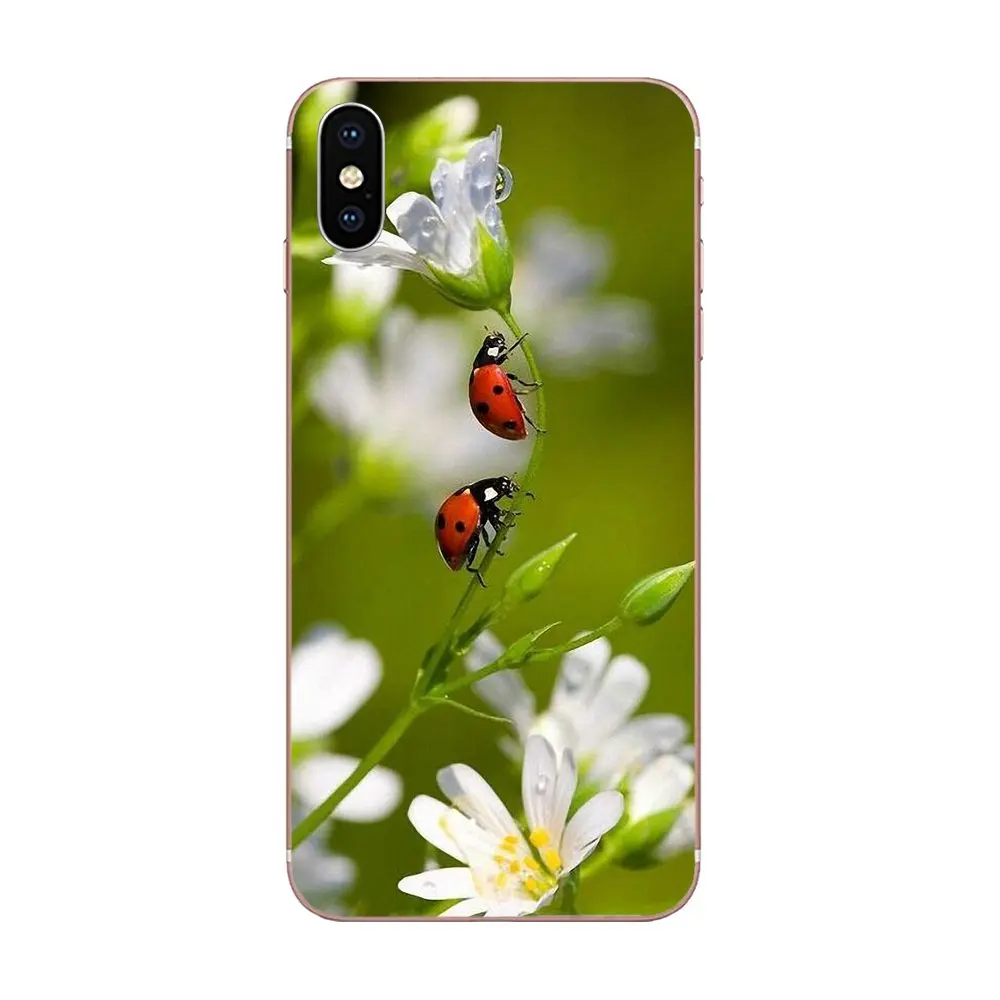 Стильные божьи коровки для Xiaomi Redmi Mi 4 7A 9T K20 CC9 CC9e Note 7 9 Y3 SE Pro Prime Go Play мягкие чехлы