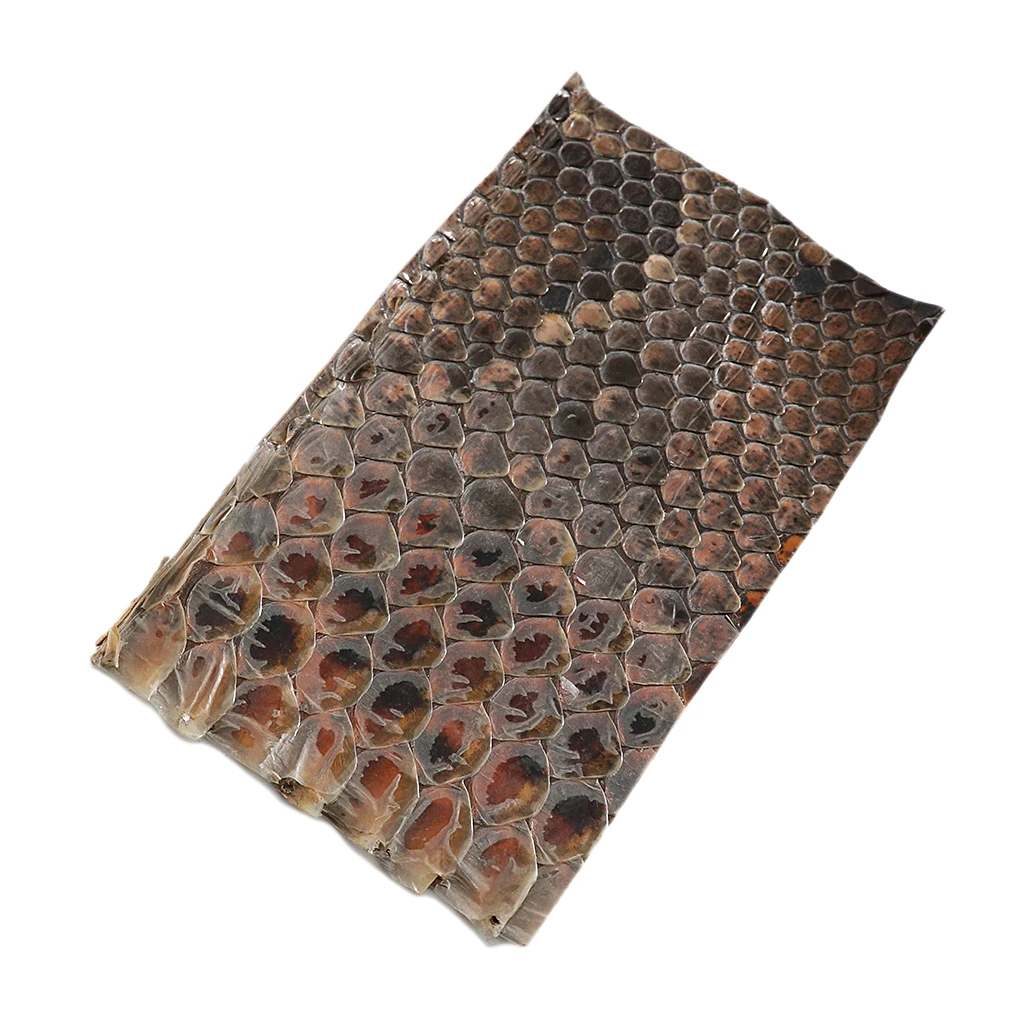 Durable Erhu Side Skin Snakeskin for Erhu-player DIY Accessory |