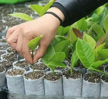 100 штук разложению рассады защиту окружающей среды нетканые пакеты для Садовые