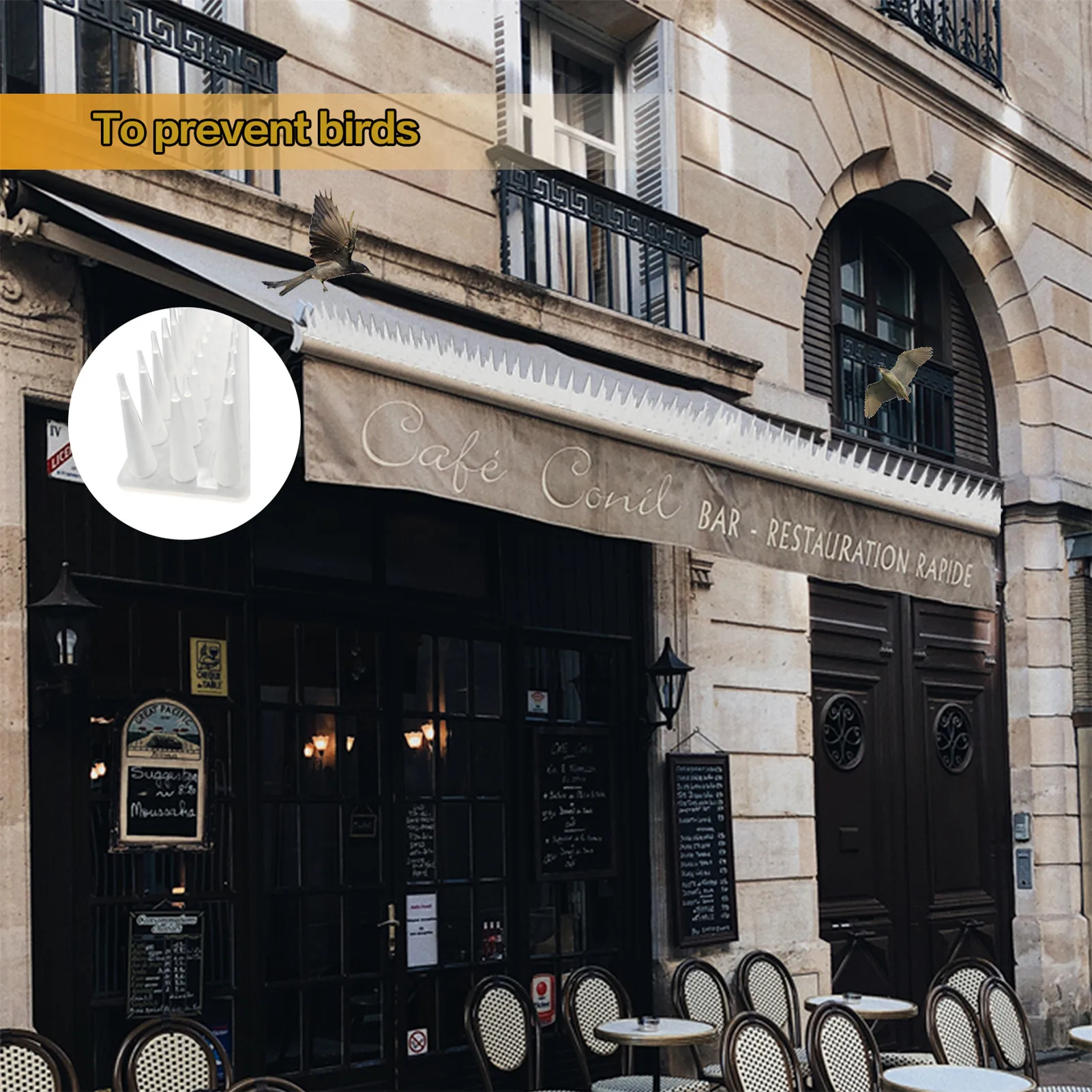 Горячая Распродажа Пластик анти птица шипы против птиц сад наружной отделки